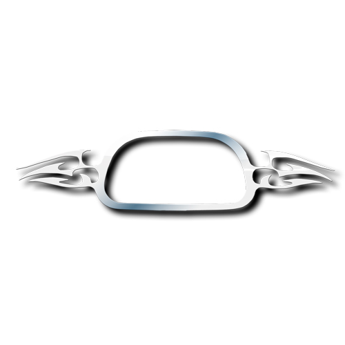 Ford f-250 stainless steel tailgate trim #2